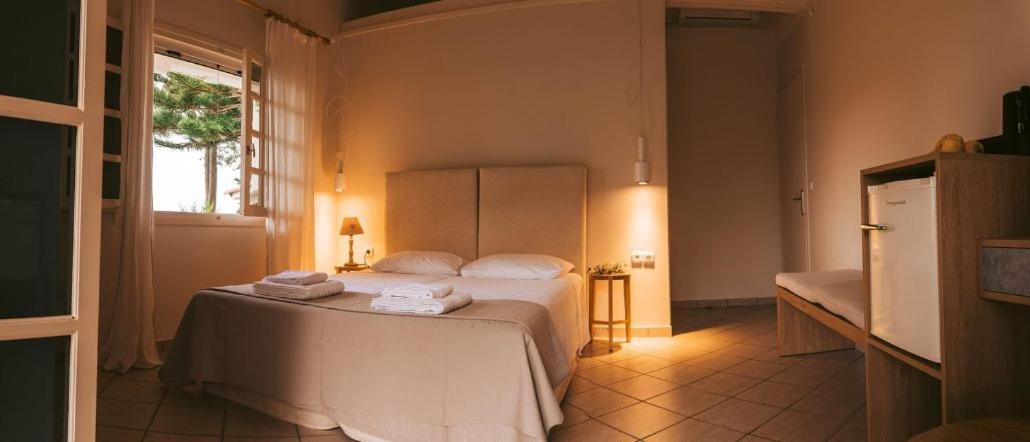 Villa Kastri Apartments Васілікі Екстер'єр фото