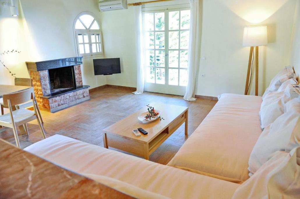Villa Kastri Apartments Васілікі Екстер'єр фото