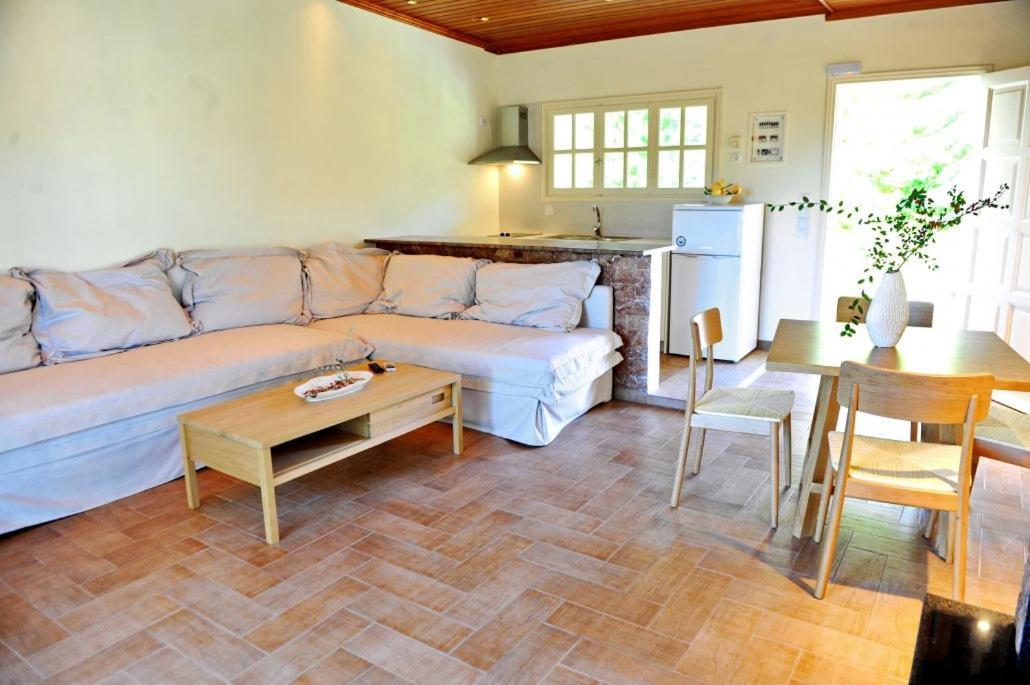 Villa Kastri Apartments Васілікі Екстер'єр фото